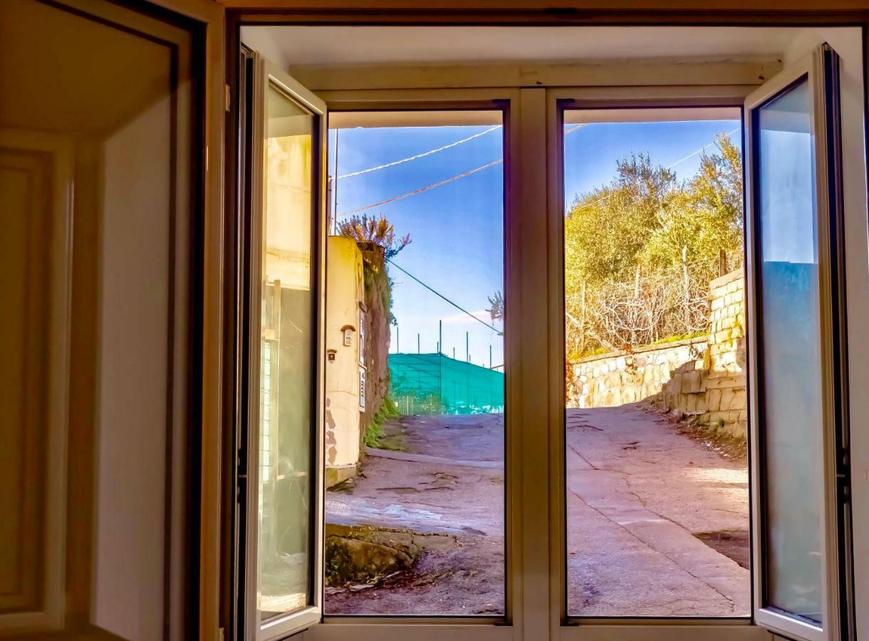 Casa Isetta & La Casetta Degli Dei Massa Lubrense Kültér fotó